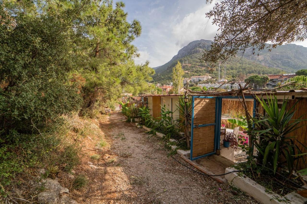 Begonvilla Bungalows Fethiye Esterno foto