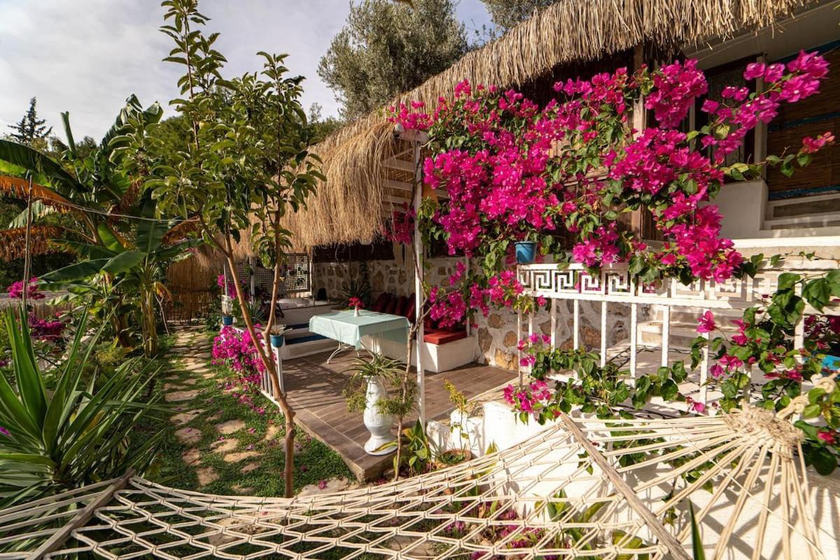 Begonvilla Bungalows Fethiye Esterno foto