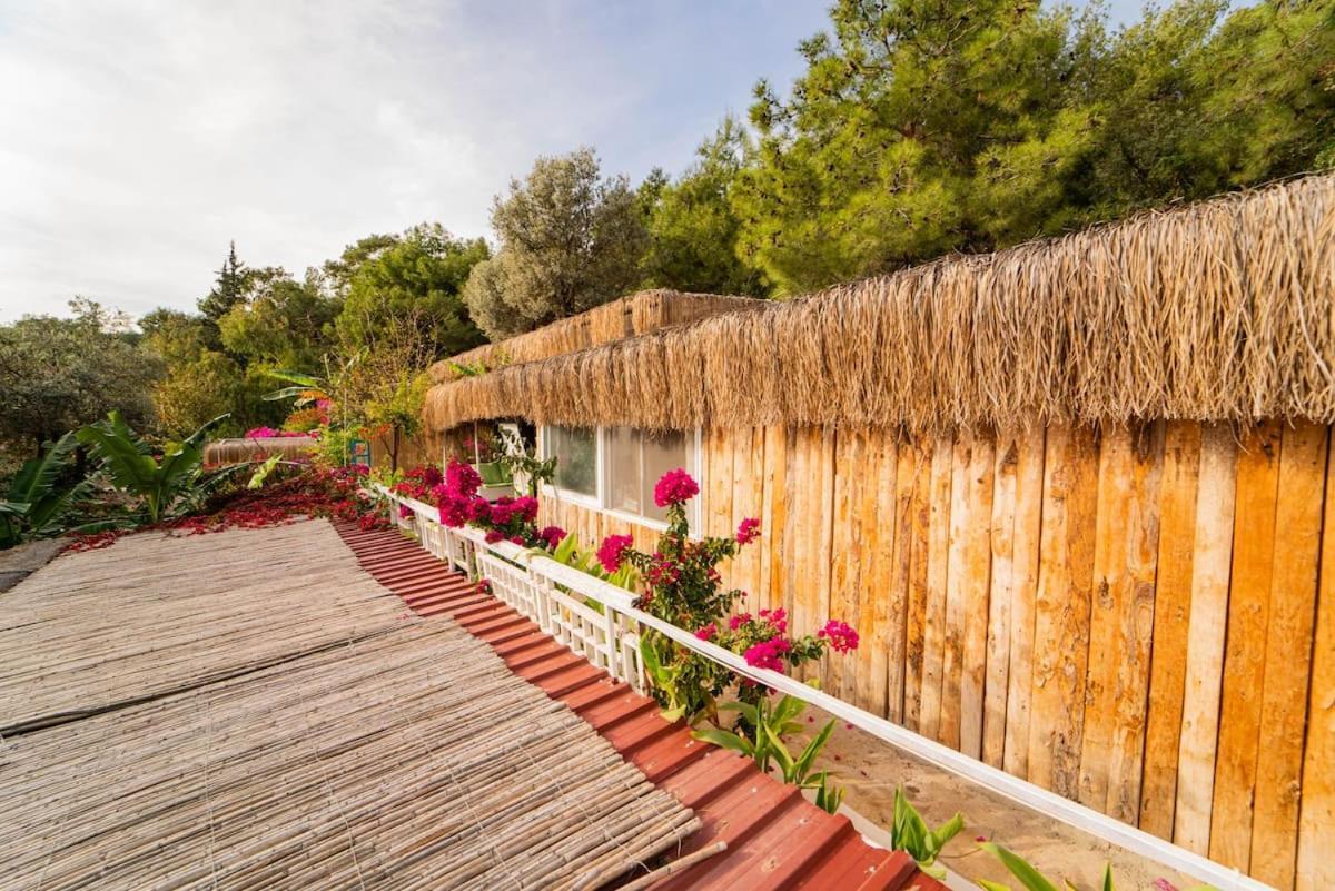 Begonvilla Bungalows Fethiye Esterno foto